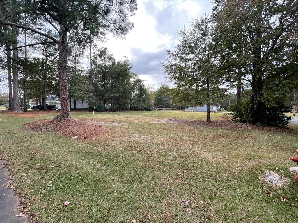 0 Bay Tree Road Nashville, GA 31639 - Photo 2 of 3 Gallery Image 2