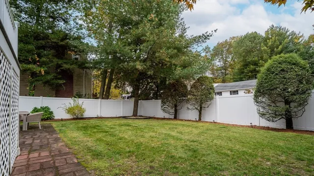 a view of a back yard