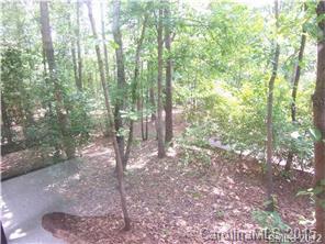 16161 Tana Tea Circle Tega Cay, SC 29708 - Photo 12 of 12