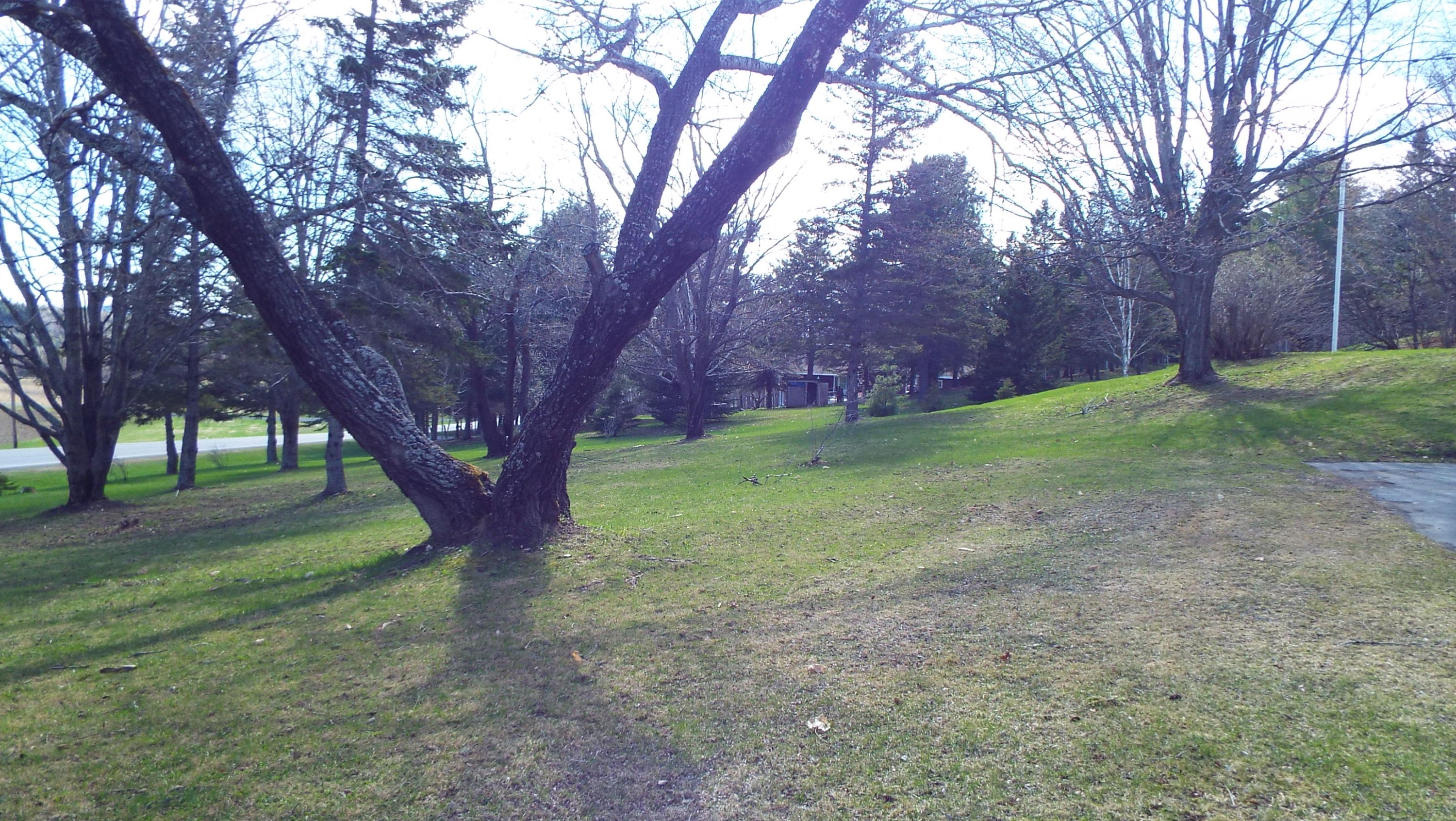 294 Conant Road Presque Isle, ME 04769 - Photo 47 of 51 DSCF5239