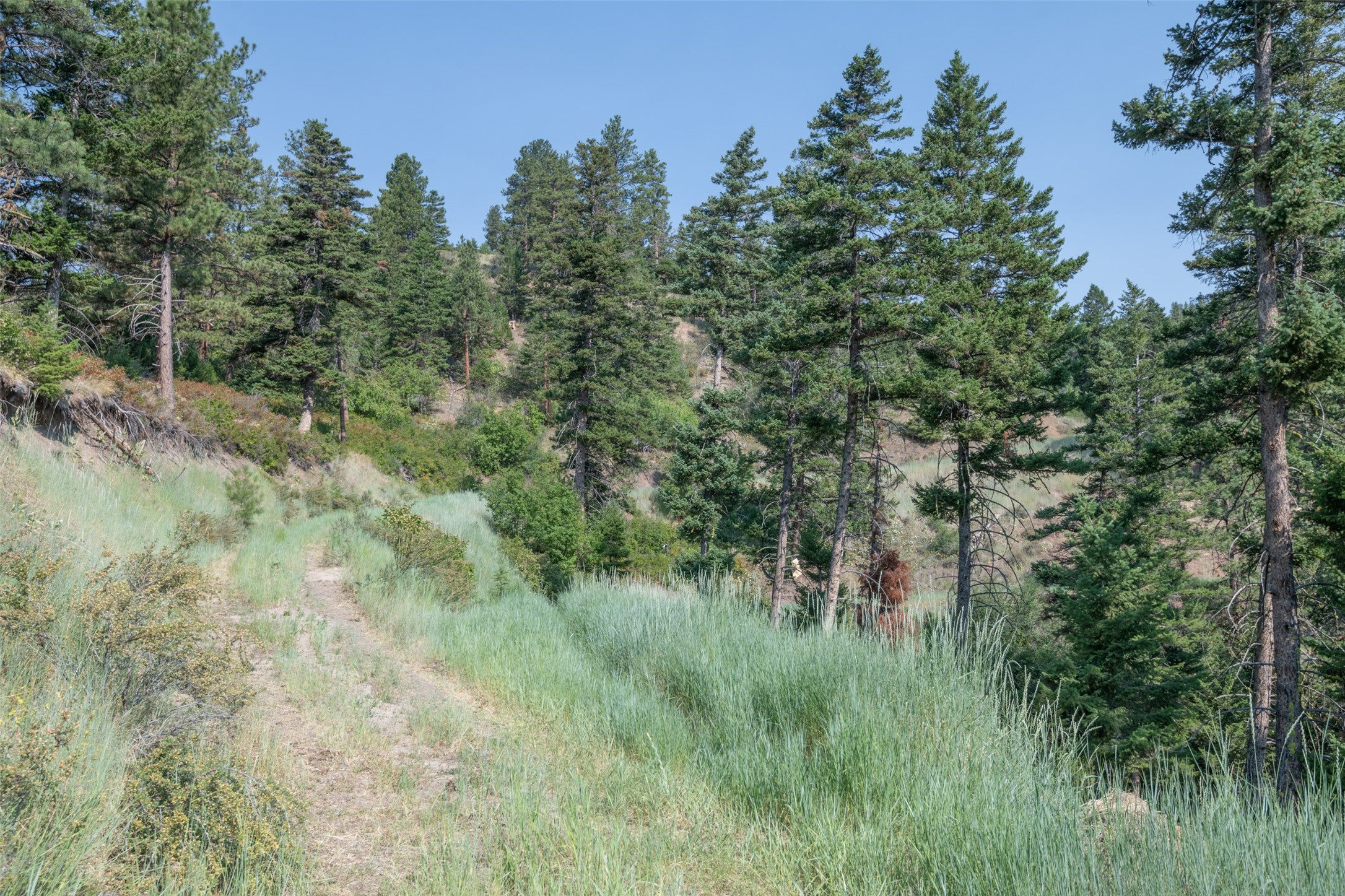 18866 Copper Rdg Trail Florence, MT 59833 - Photo 118 of 139 Gallery Image 118