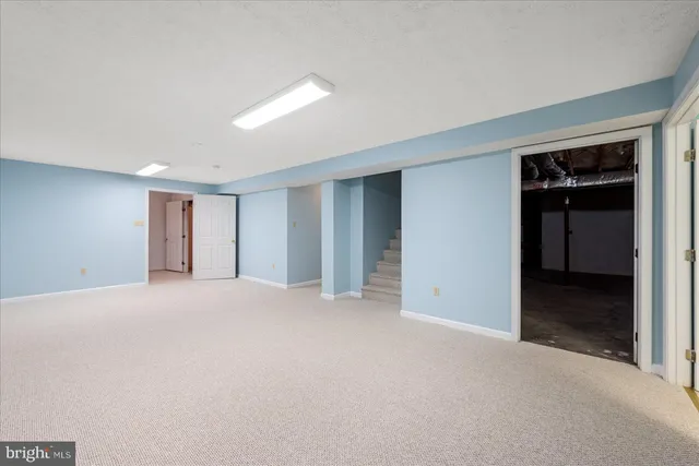 a view of backyard with tree