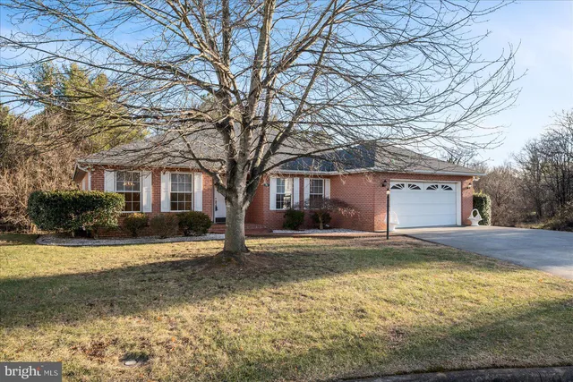 a front view of a house with a yard and trees