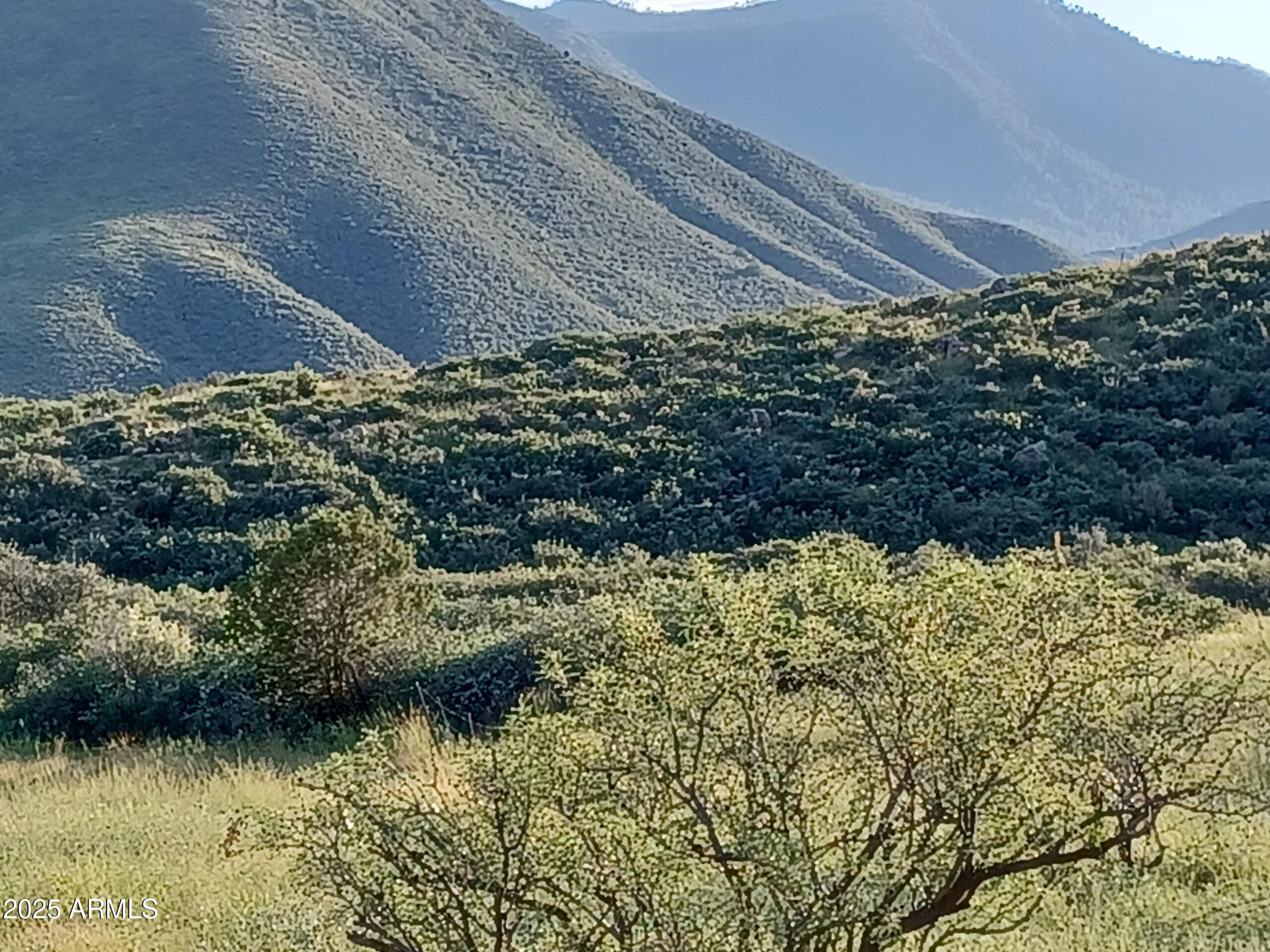5668 Miners Pick Road Mayer, AZ 86333 - Photo 11 of 39 FWZX1458