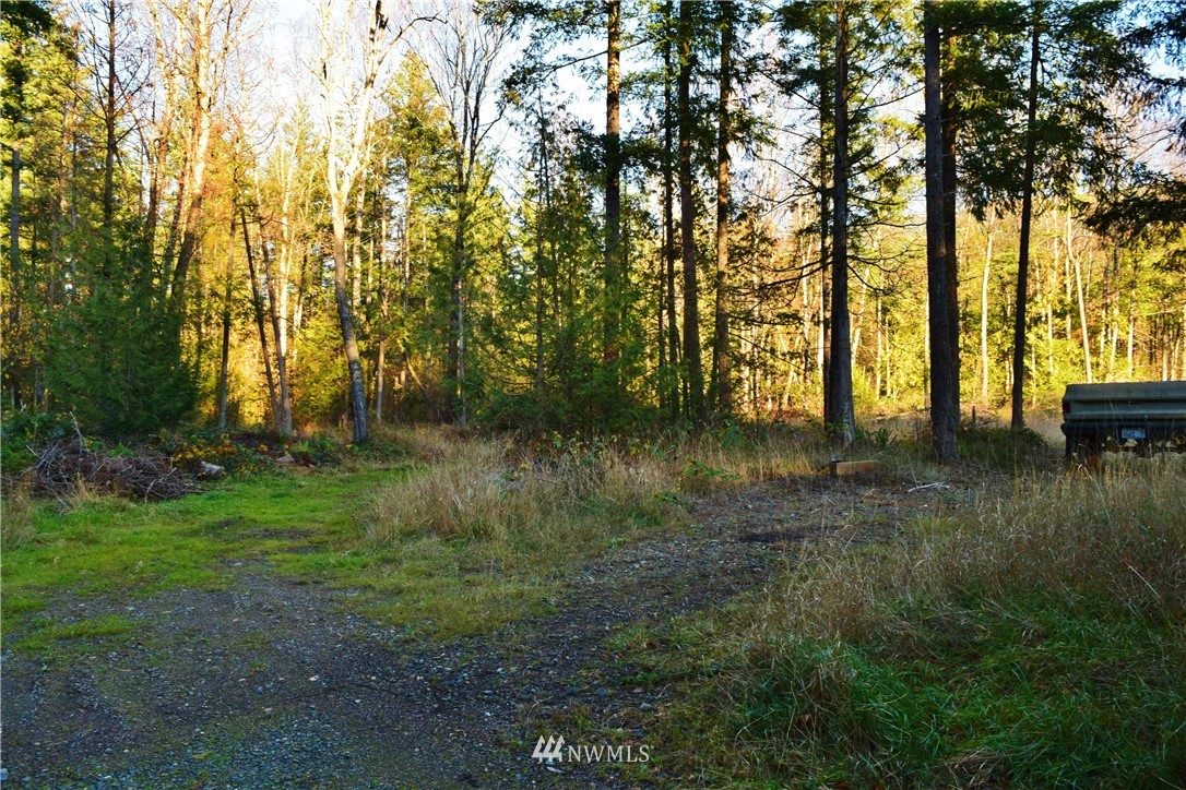 3805 South Pass Road Everson, WA 98247 - Photo 23 of 25