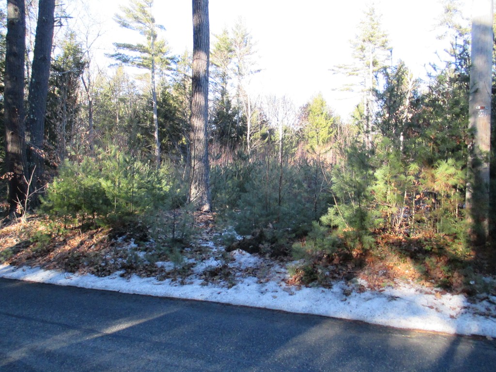 Lot 12 Riceville Road Athol, MA 01331 - Photo 2 of 7 Gallery Image 2