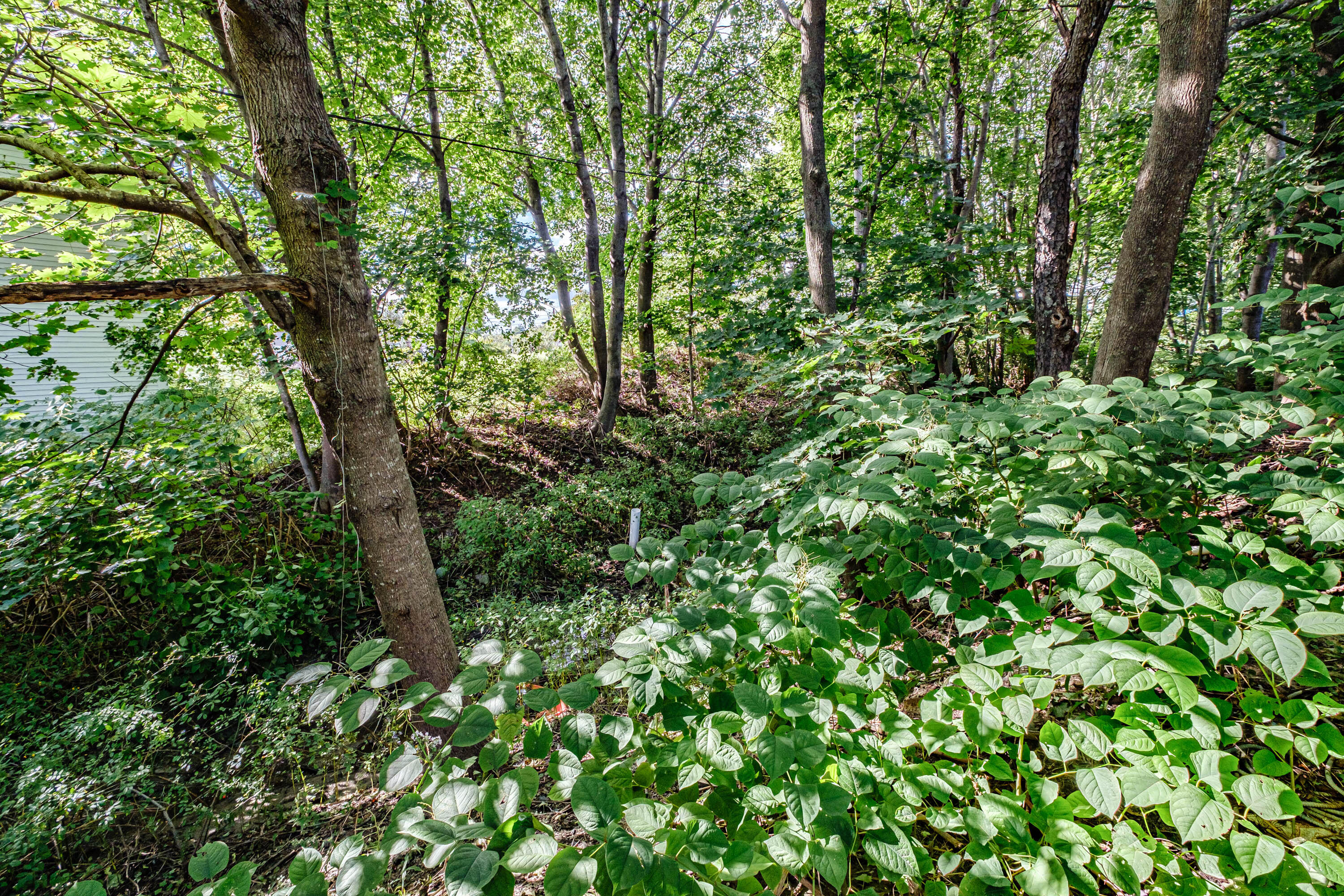 20 Hall Road Woolwich, ME 04579 - Photo 32 of 32 20230920gp-62045