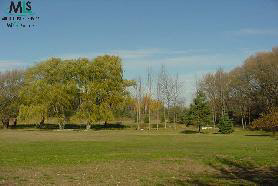 5381 Snover Road Carsonville, MI 48419 - Photo 4 of 6 513811-3.JPG