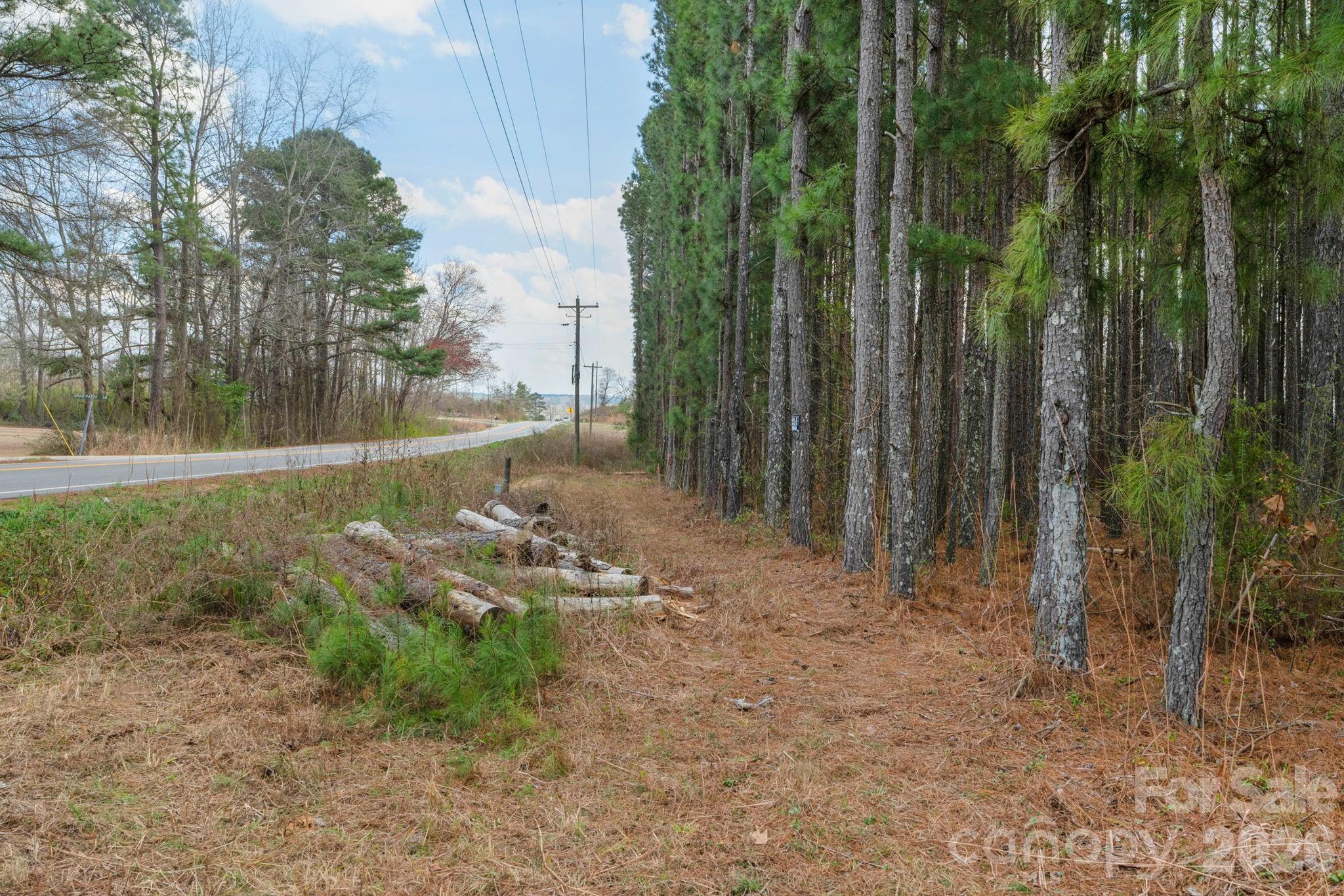 0 Horace Price Road Pageland, SC 29728 - Photo 14 of 30