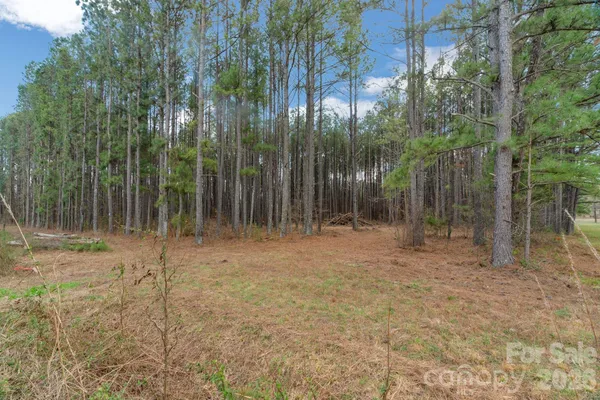 $85,000 | 0 Horace Price Road, Pageland, SC 29728