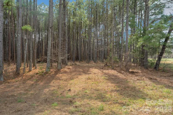 $85,000 | 0 Horace Price Road, Pageland, SC 29728