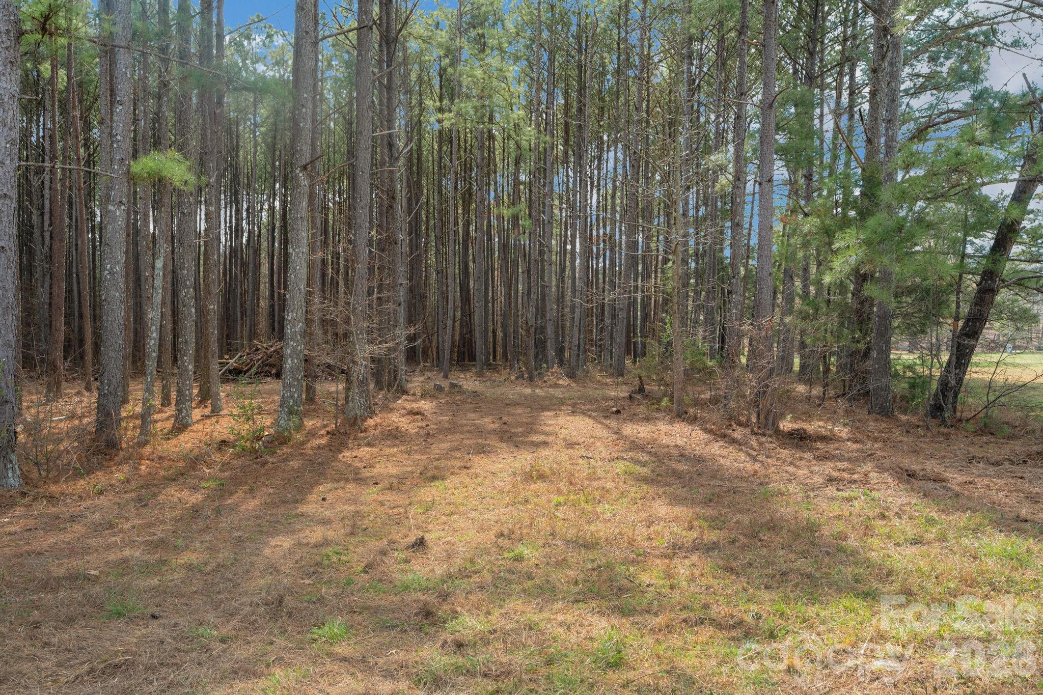 0 Horace Price Road Pageland, SC 29728 - Photo 16 of 30