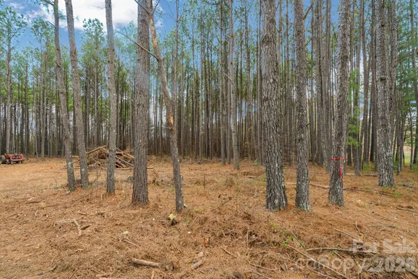 $85,000 | 0 Horace Price Road, Pageland, SC 29728