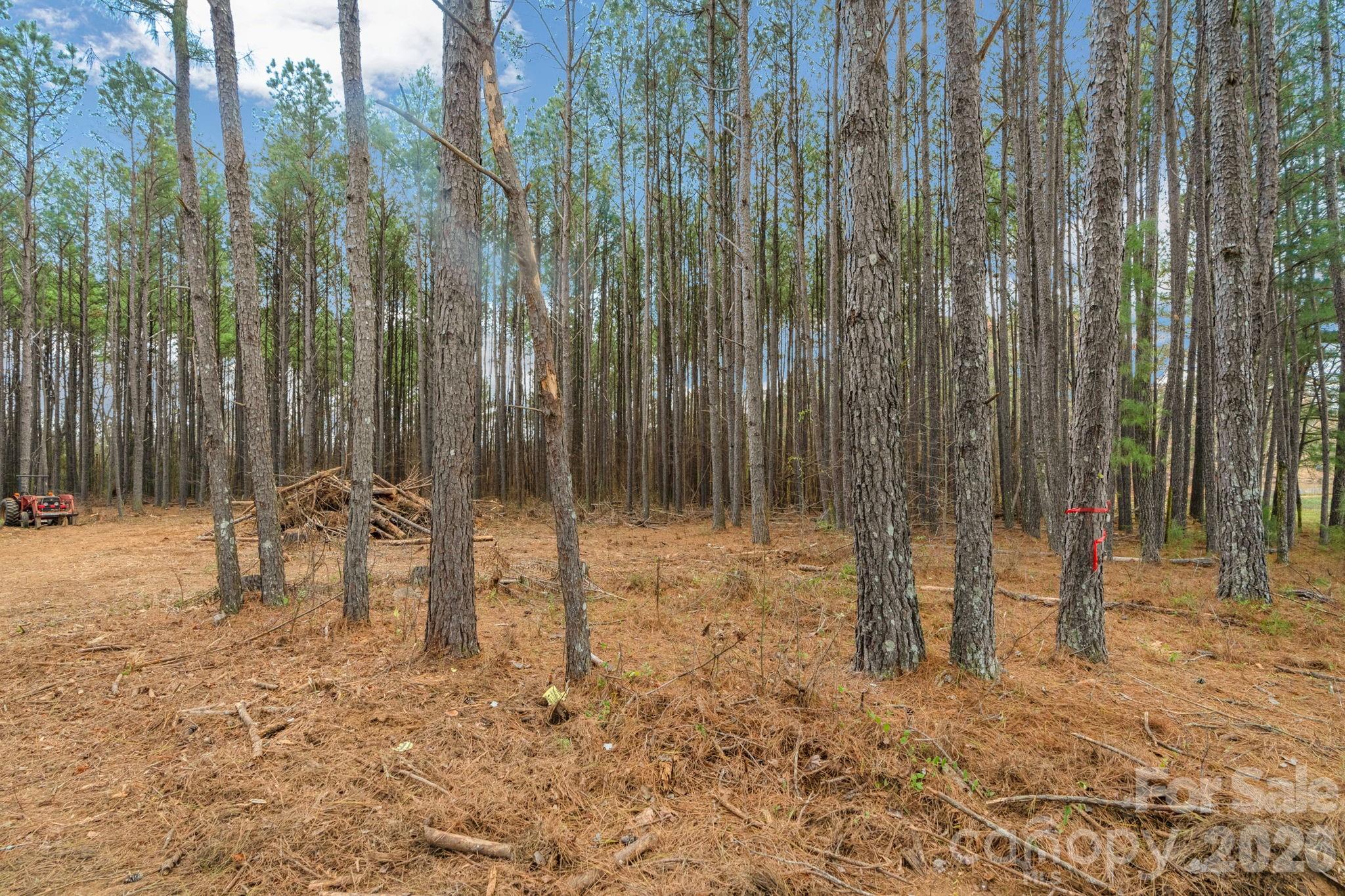 0 Horace Price Road Pageland, SC 29728 - Photo 17 of 30