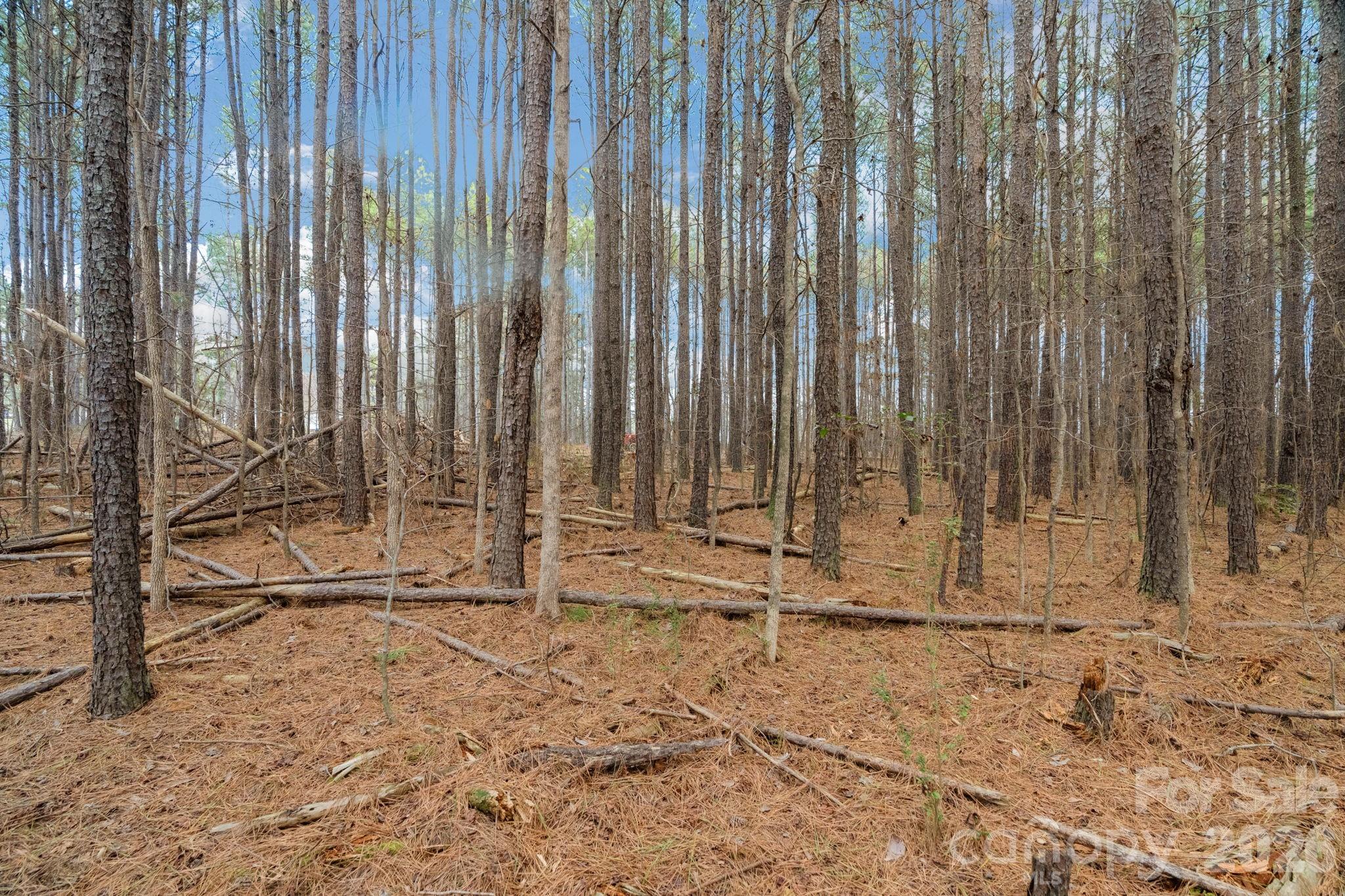 0 Horace Price Road Pageland, SC 29728 - Photo 20 of 30