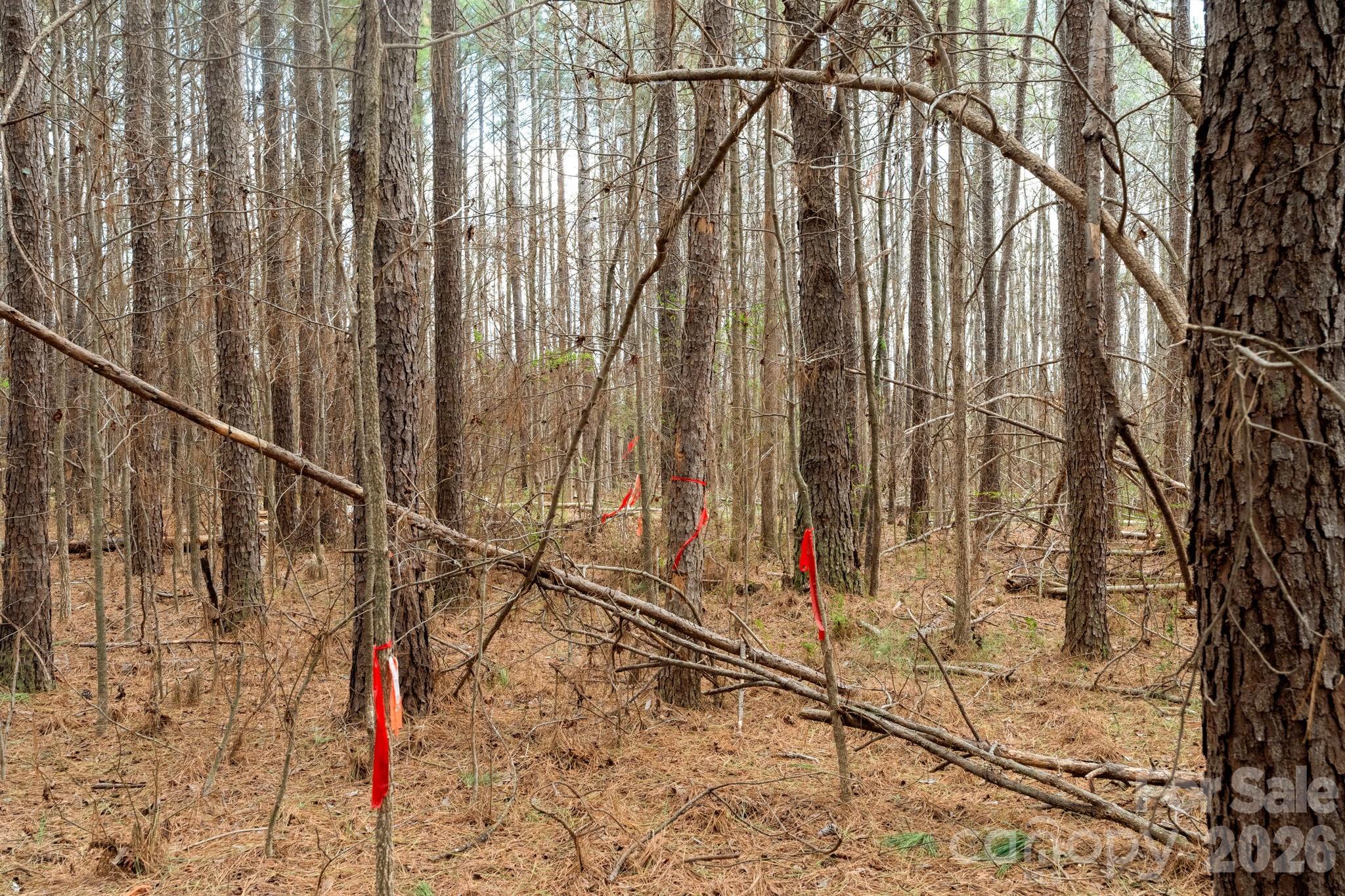 0 Horace Price Road Pageland, SC 29728 - Photo 21 of 30