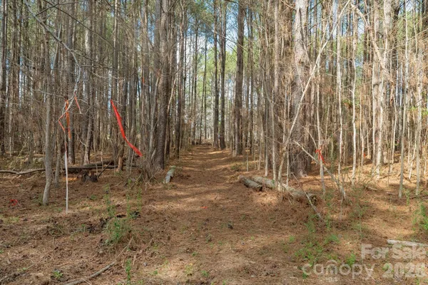 $85,000 | 0 Horace Price Road, Pageland, SC 29728