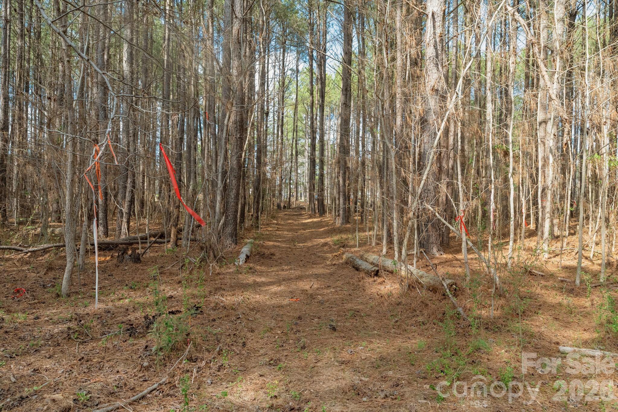 0 Horace Price Road Pageland, SC 29728 - Photo 22 of 30