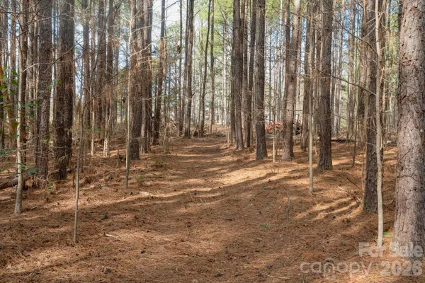$85,000 | 0 Horace Price Road, Pageland, SC 29728