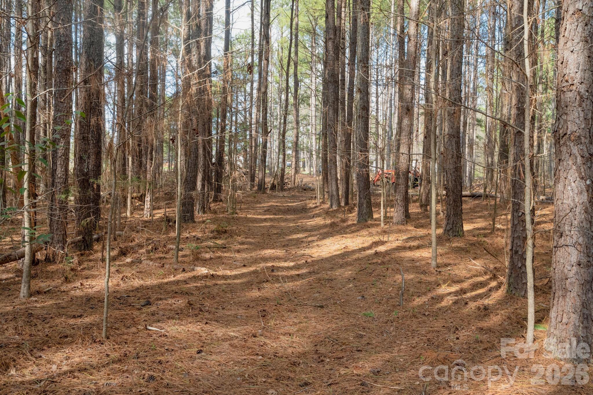 0 Horace Price Road Pageland, SC 29728 - Photo 23 of 30