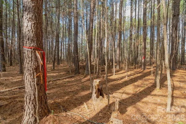 $85,000 | 0 Horace Price Road, Pageland, SC 29728