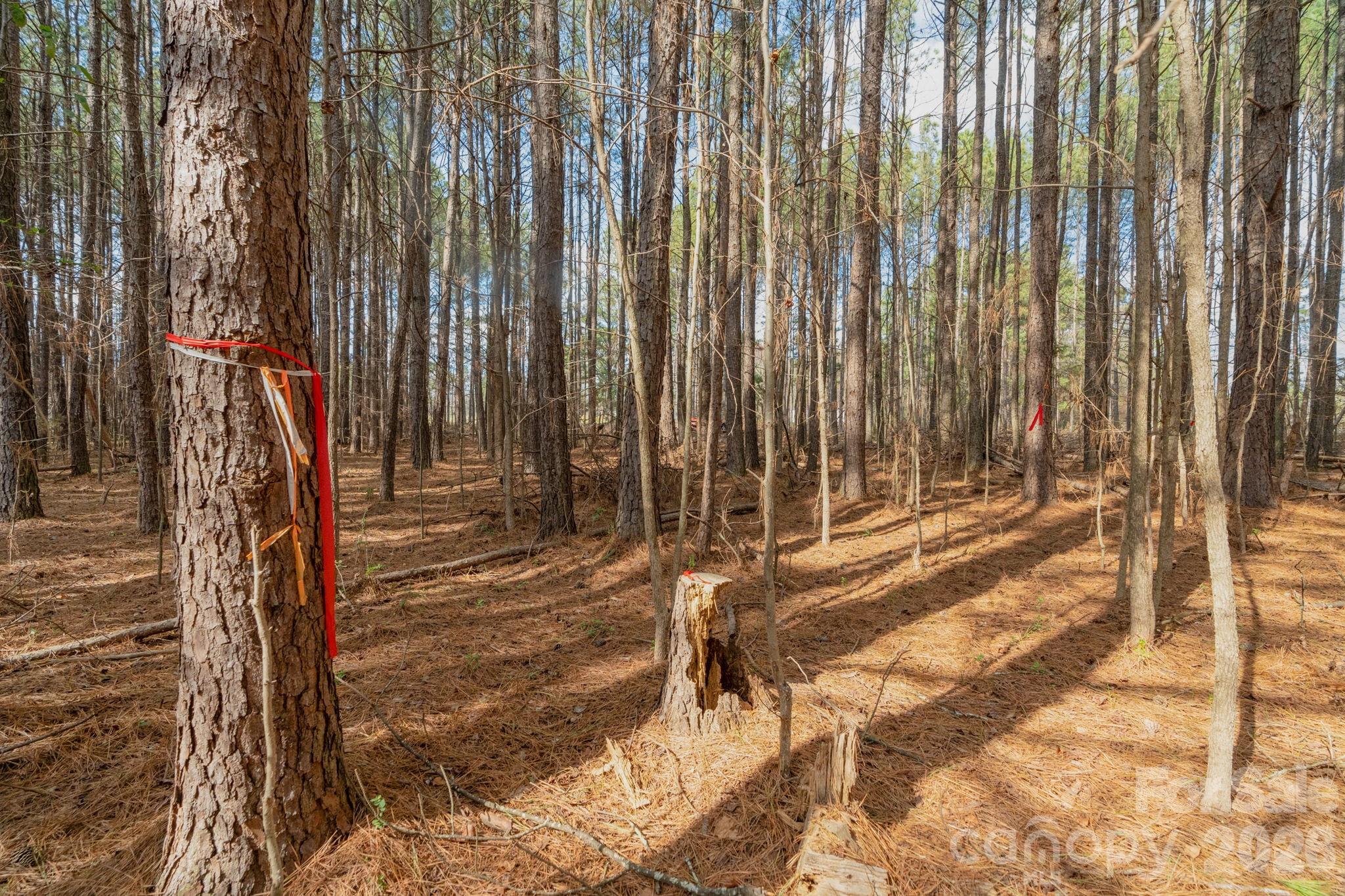 0 Horace Price Road Pageland, SC 29728 - Photo 24 of 30