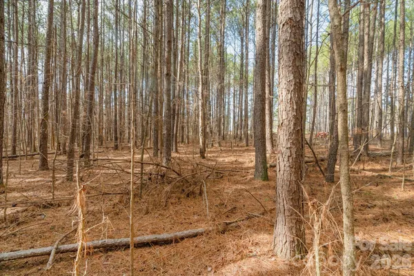 $85,000 | 0 Horace Price Road, Pageland, SC 29728