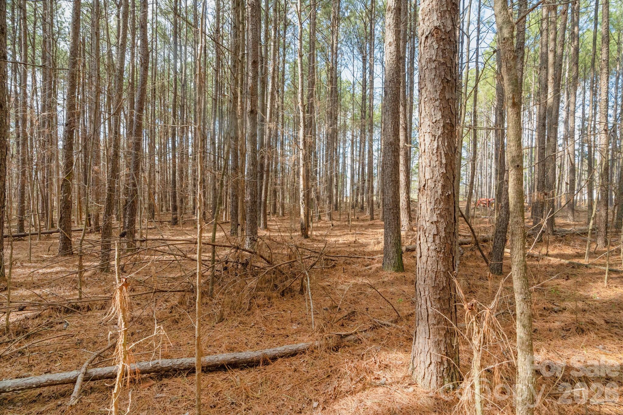 0 Horace Price Road Pageland, SC 29728 - Photo 25 of 30