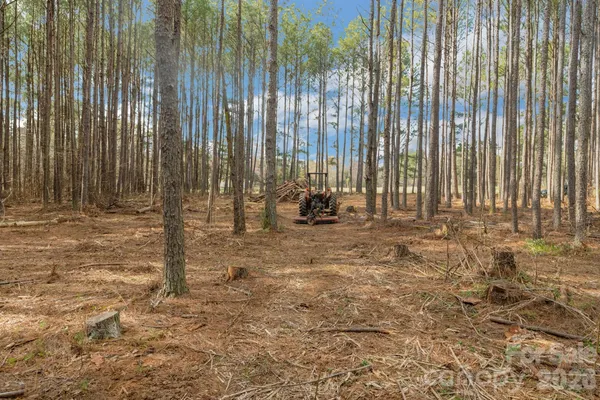 $85,000 | 0 Horace Price Road, Pageland, SC 29728