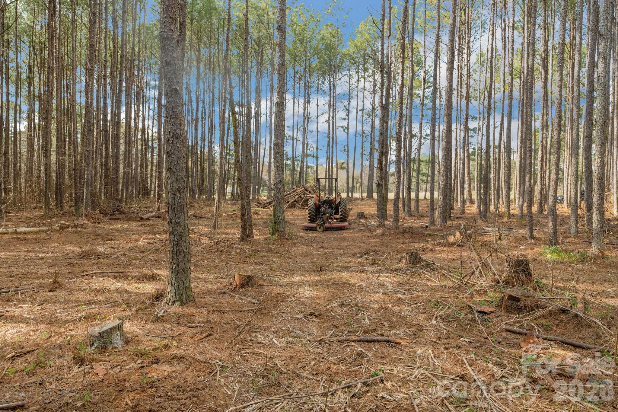 0 Horace Price Road Pageland, SC 29728 - Photo 26 of 30