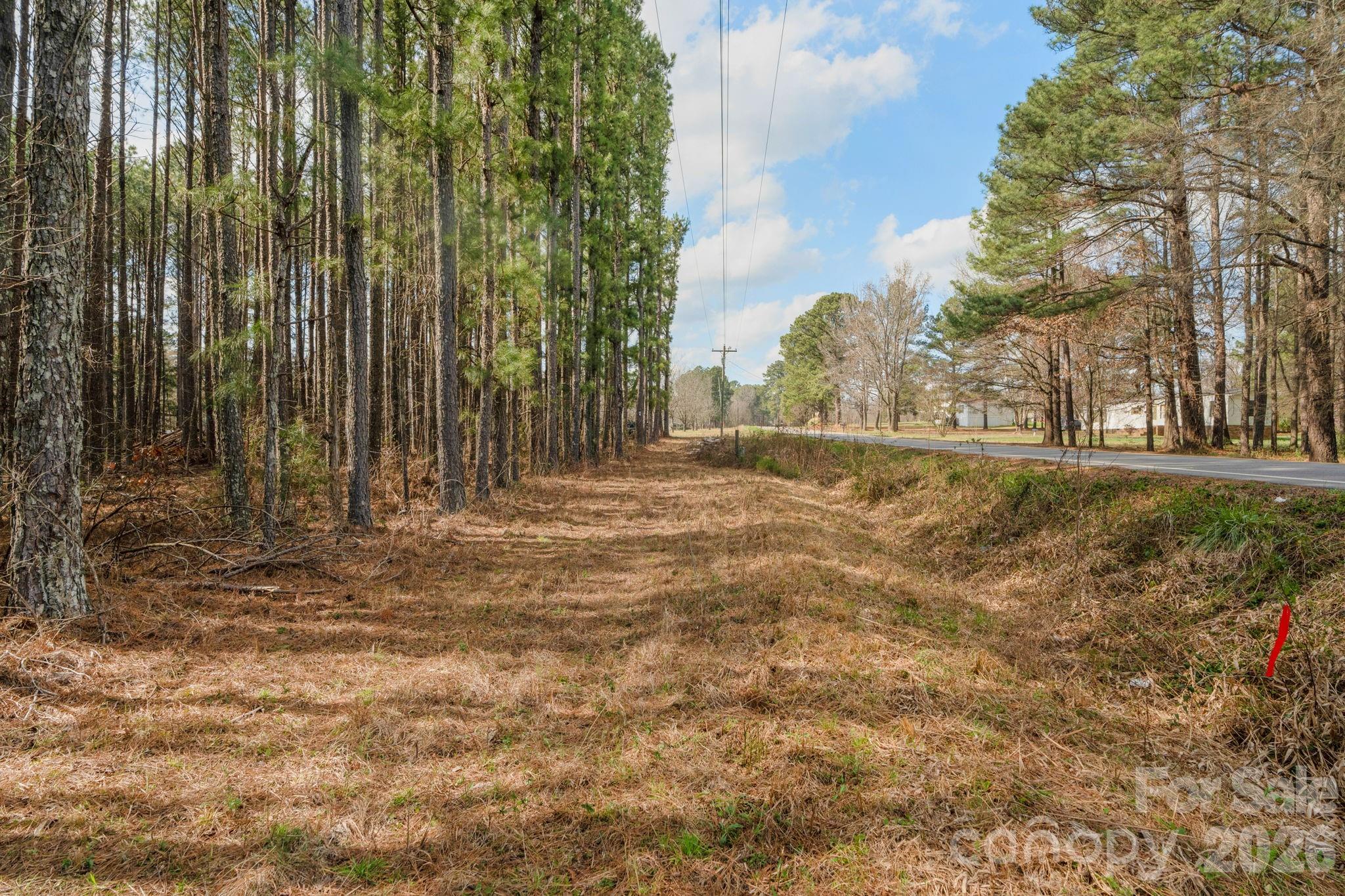 0 Horace Price Road Pageland, SC 29728 - Photo 27 of 30