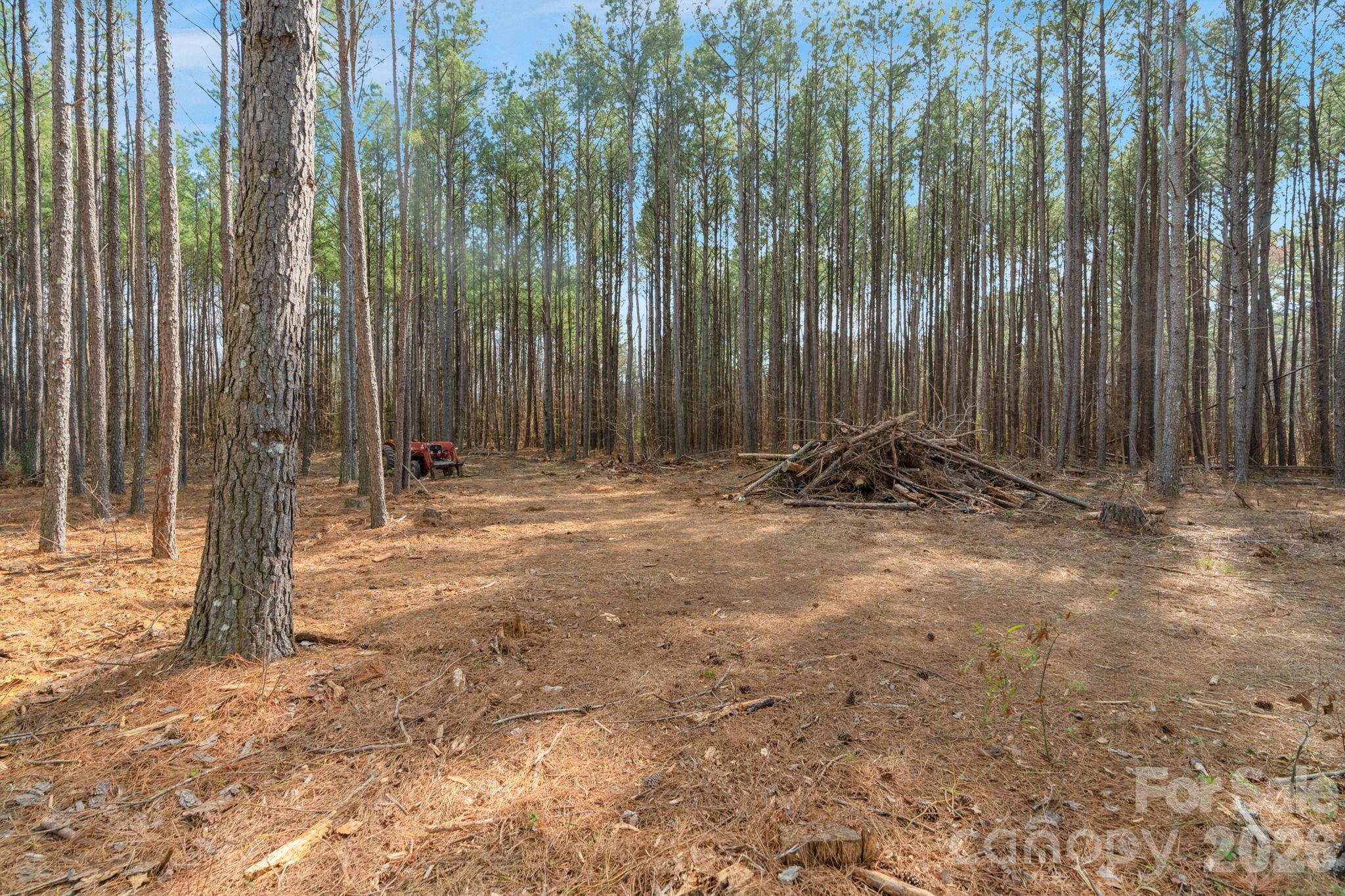 0 Horace Price Road Pageland, SC 29728 - Photo 28 of 30