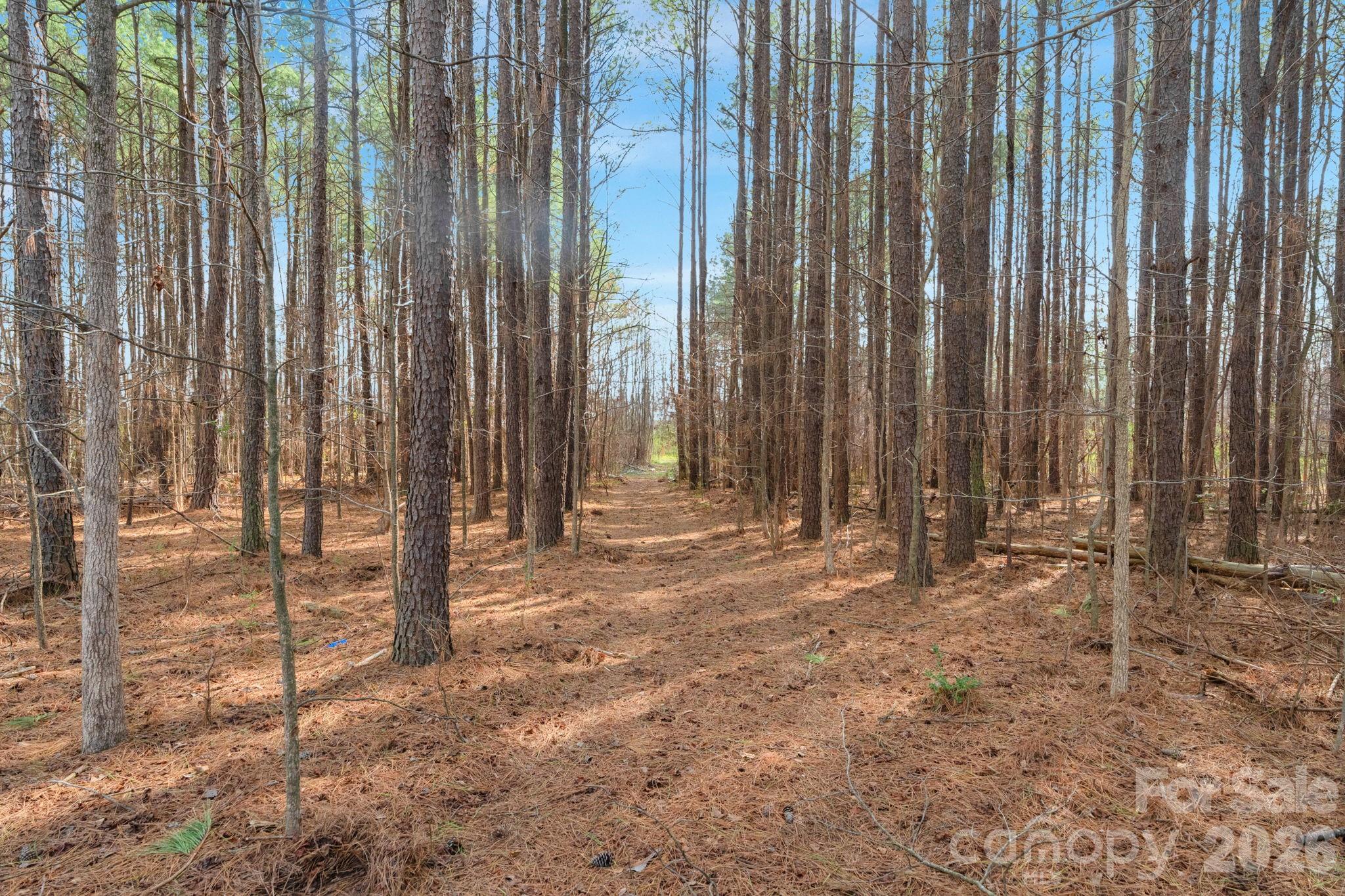 0 Horace Price Road Pageland, SC 29728 - Photo 29 of 30