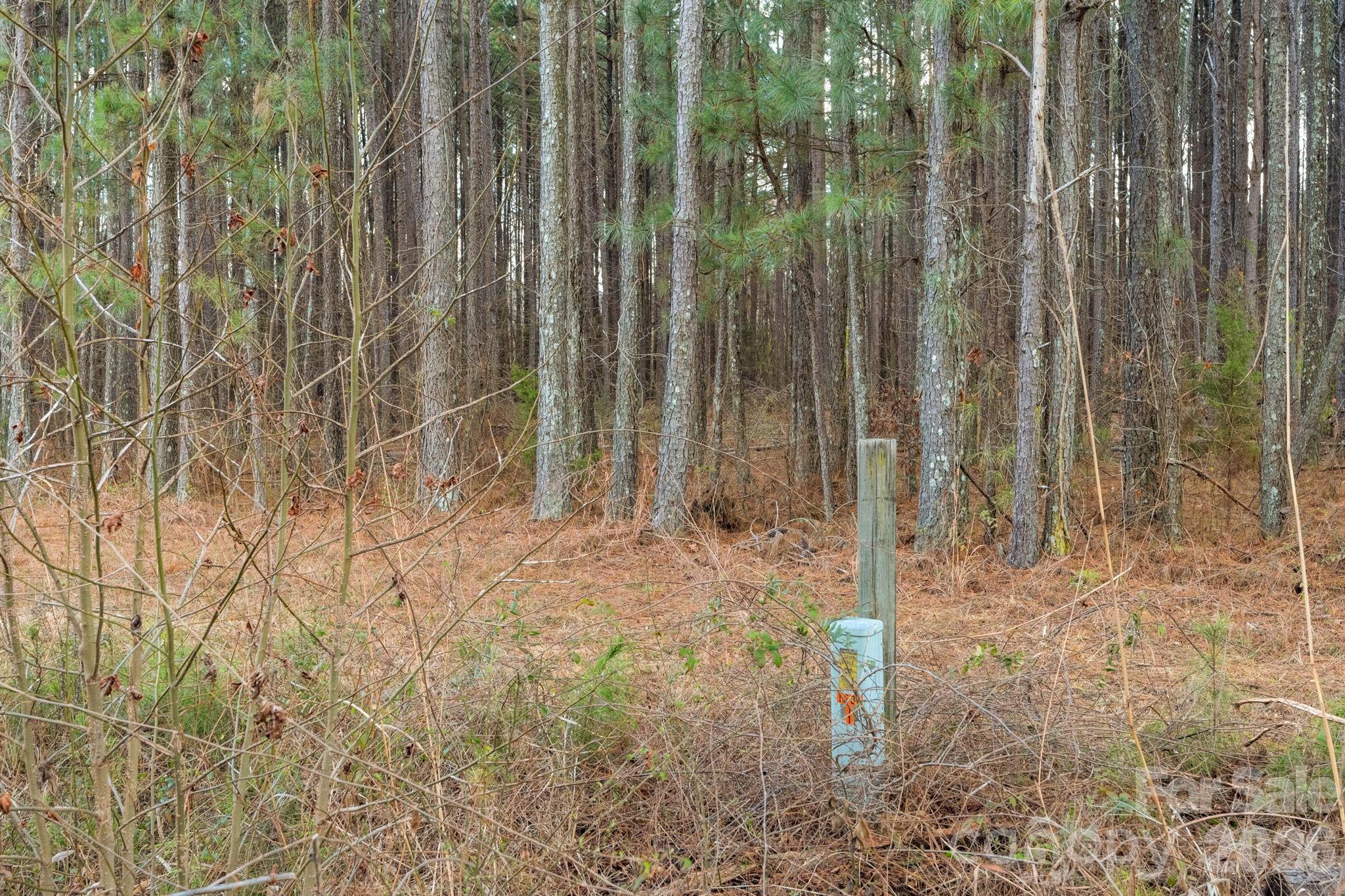 0 Horace Price Road Pageland, SC 29728 - Photo 30 of 30