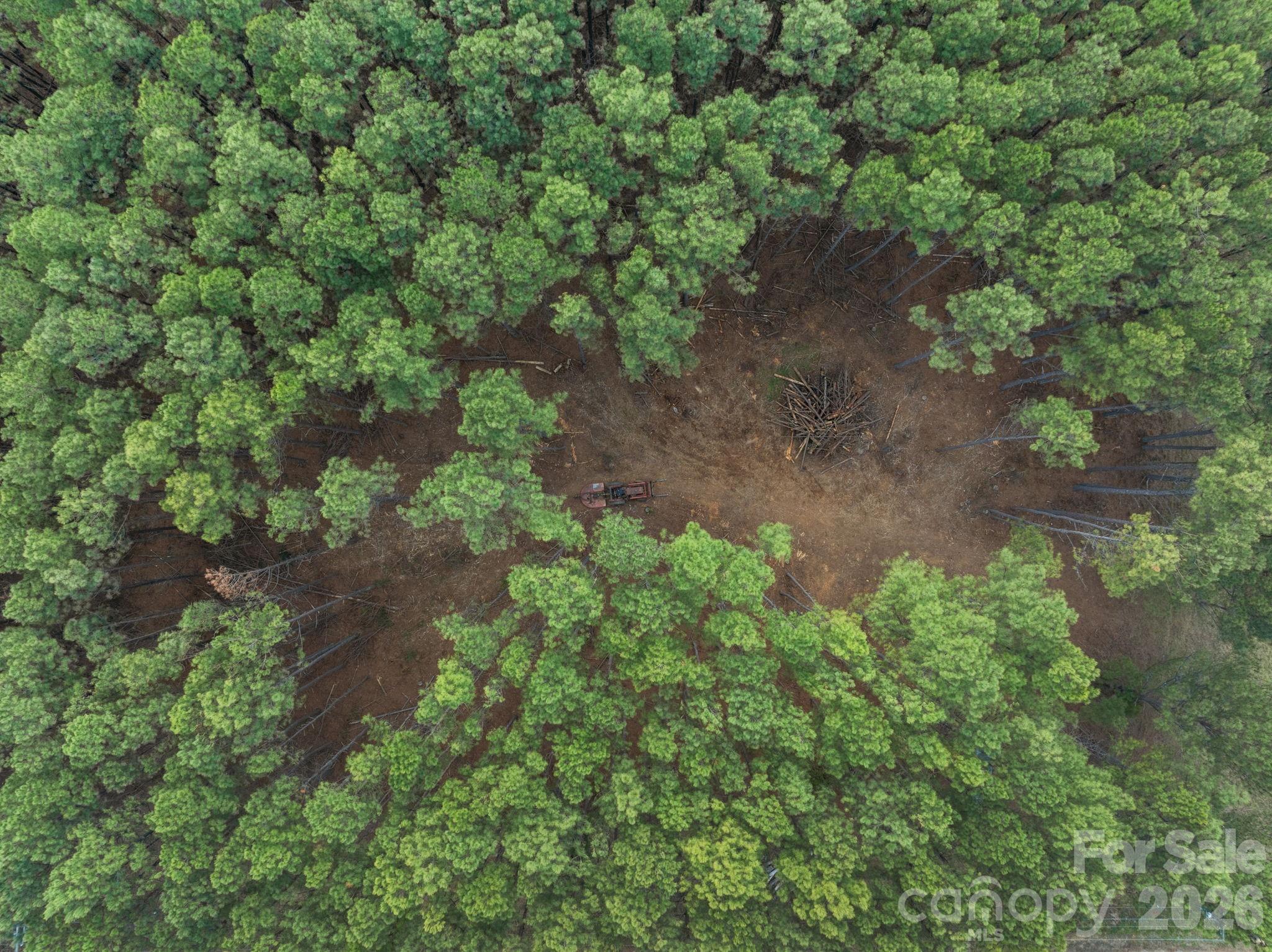 0 Horace Price Road Pageland, SC 29728 - Photo 3 of 30