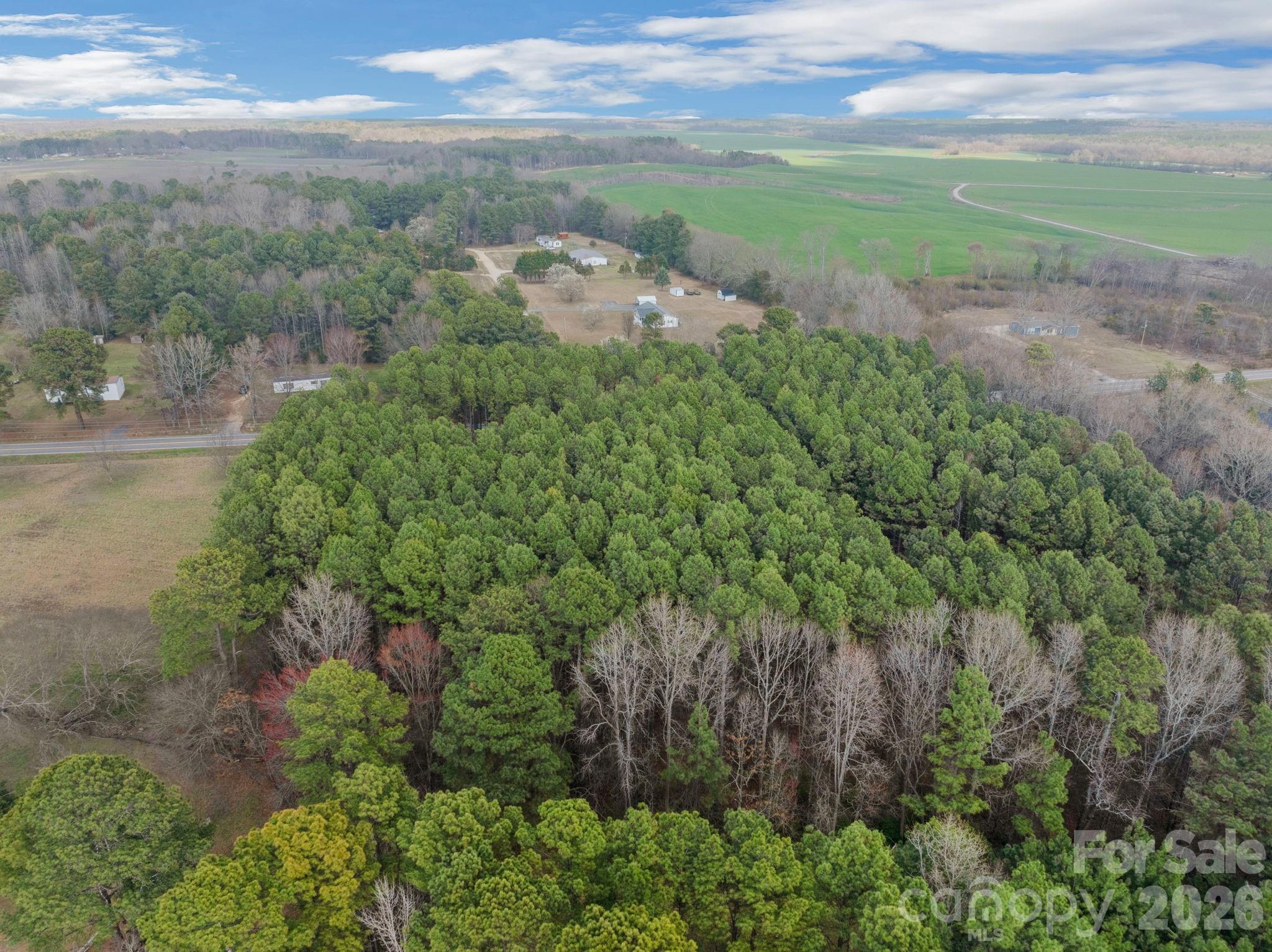 0 Horace Price Road Pageland, SC 29728 - Photo 8 of 30