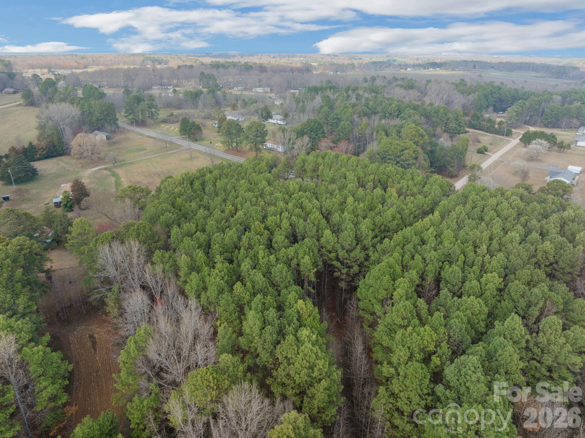 0 Horace Price Road Pageland, SC 29728 - Photo 9 of 30