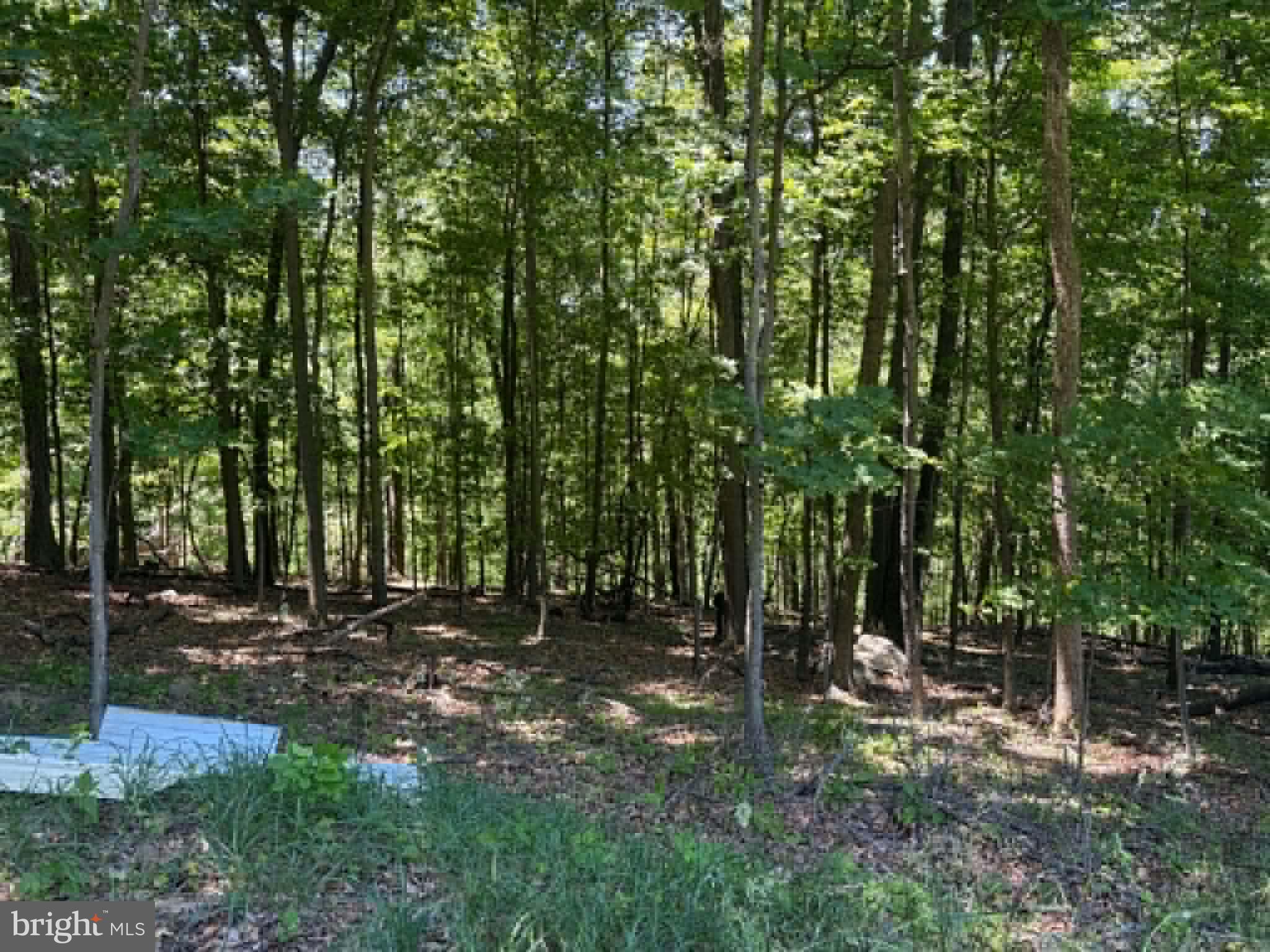 1515 Barnum Road Keyser, WV 26726 - Photo 38 of 64