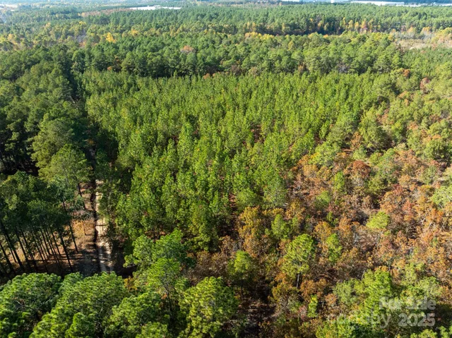 a view of a lush green forest with houses