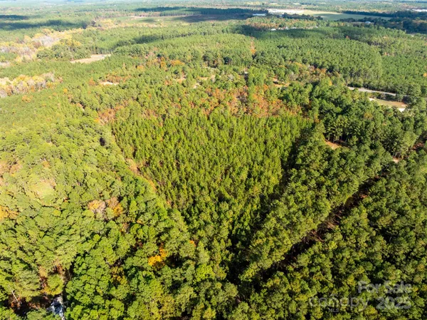 a view of a large yard with lots of green space