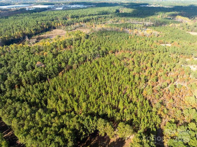 a view of a balcony with a forest