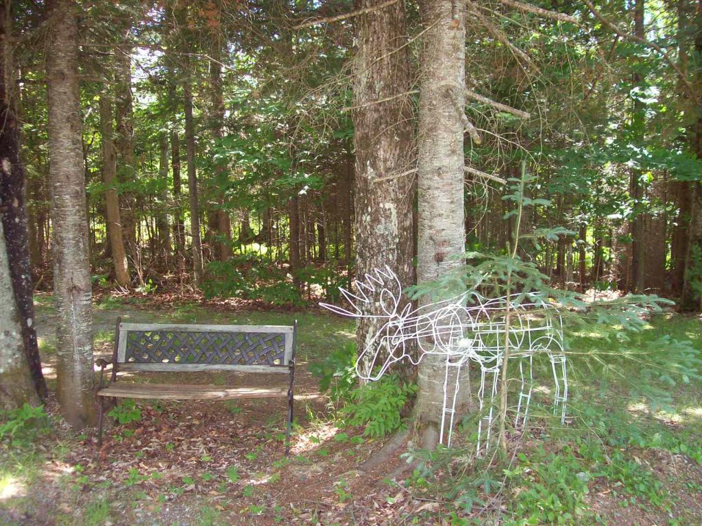 199 Hawkins Road Dummer, NH 03588 - Photo 14 of 26