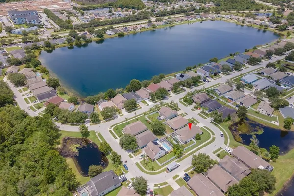 $3,500 | 17354 Lawn Orchid Loop, Land O Lakes, FL 34638