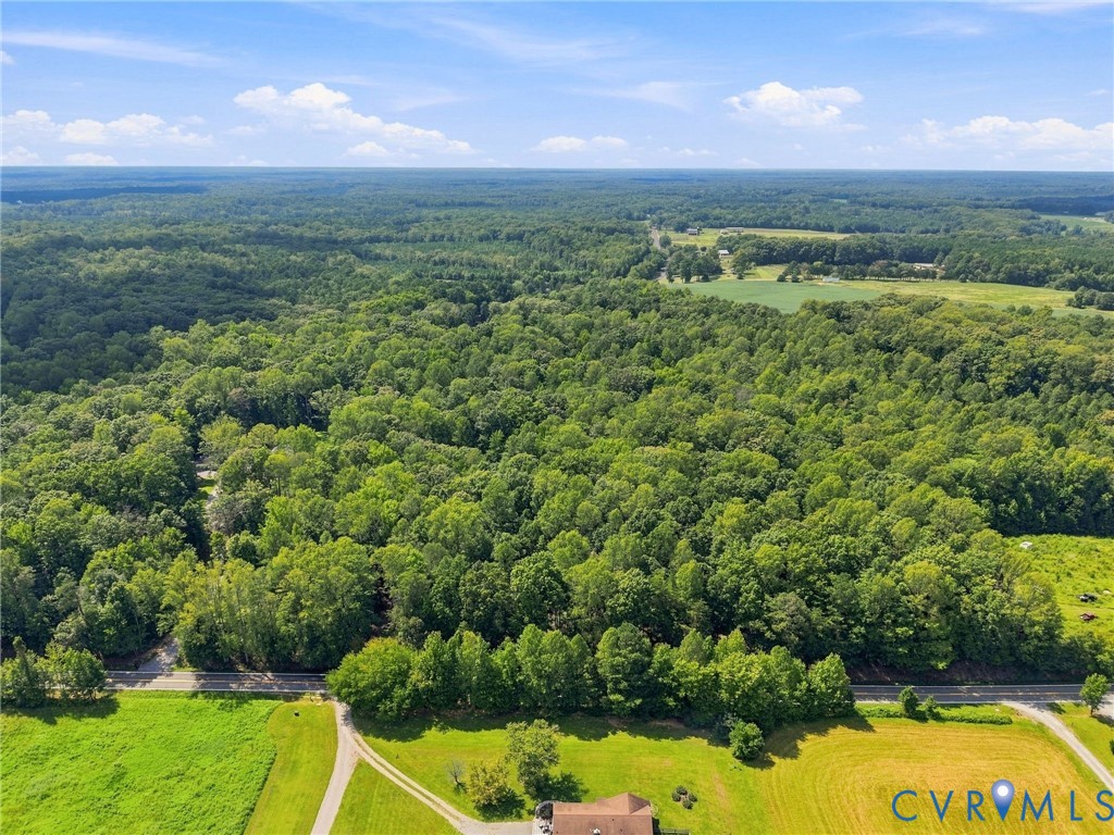 15295 Beaver Dam Road Montpelier, VA 23192 - Photo 8 of 23 Gallery Image 8
