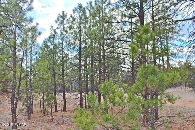 3042 Ponderosa Road Overgaard, AZ 85933 - Photo 10 of 13 a backyard of a house with lots of green space