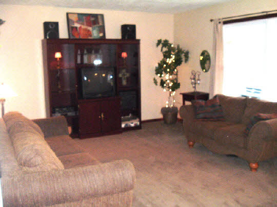 1096 Drexel Road Lake Summerset, IL 61019 - Photo 5 of 5 a living room with furniture and a wall painting