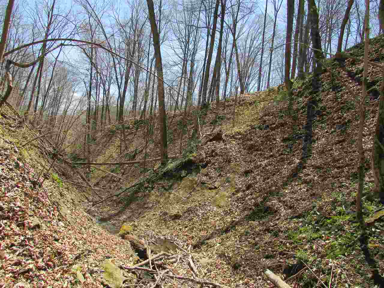 North Letterman Road Paragon, IN 46166 - Photo 13 of 28