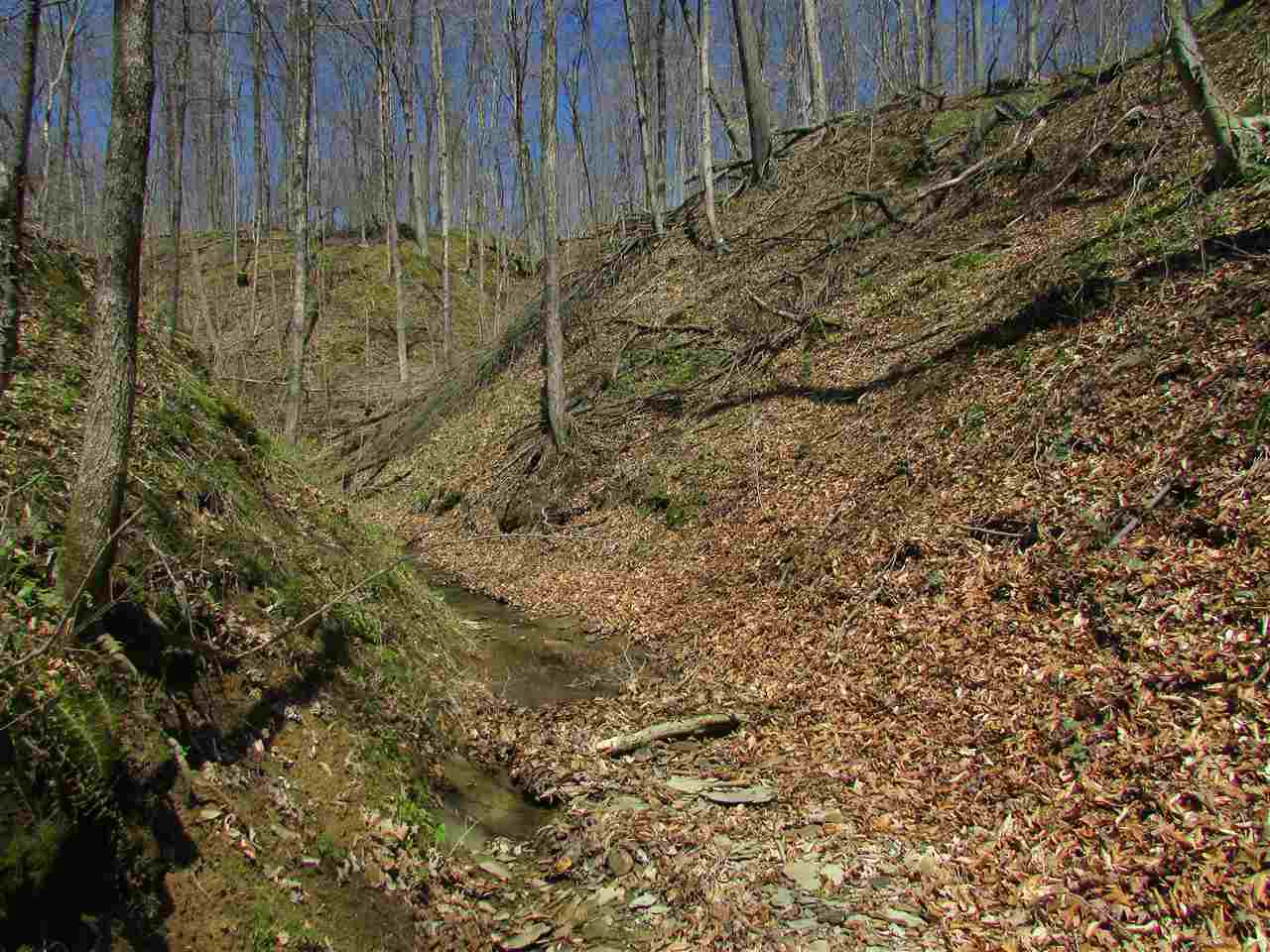 North Letterman Road Paragon, IN 46166 - Photo 16 of 28