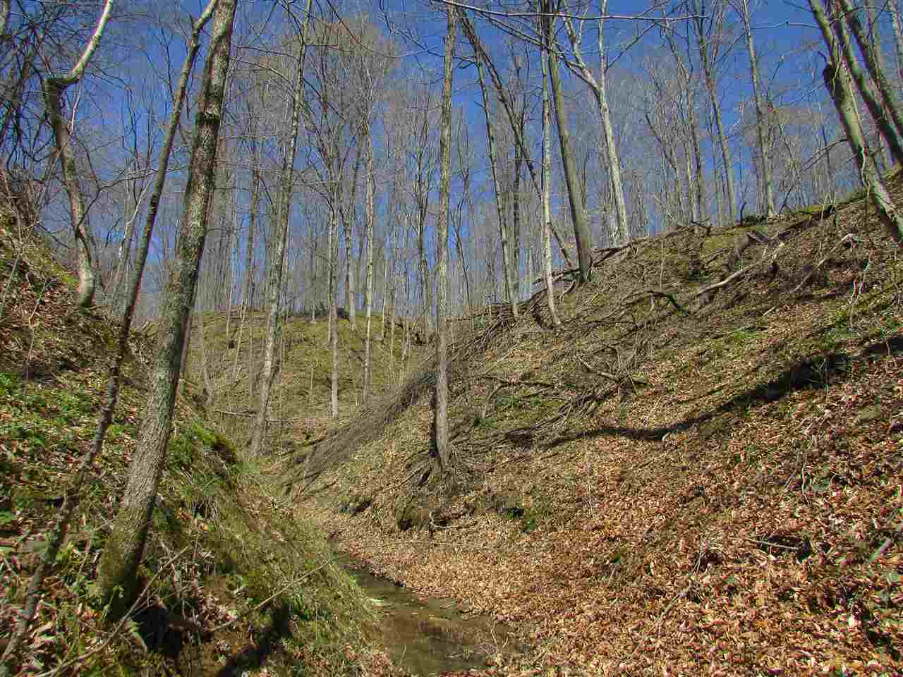 North Letterman Road Paragon, IN 46166 - Photo 18 of 28