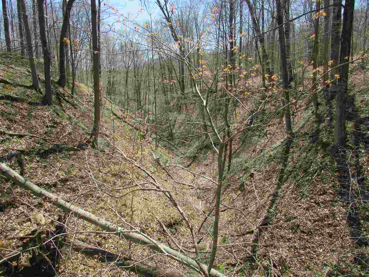 North Letterman Road Paragon, IN 46166 - Photo 19 of 28